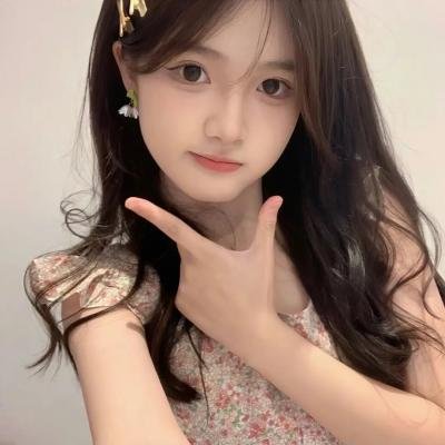 谍网雄鸽