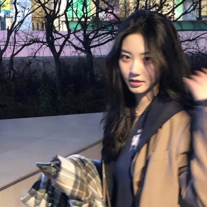 树篱女巫